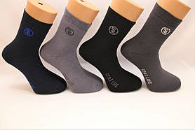 Чоловічі шкарпетки махрові середні Style Luxe 39-41 асорті