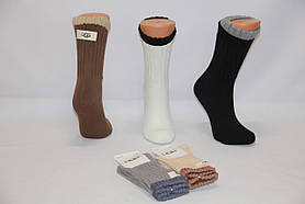 Жіночі шкарпетки високі бавовняні з махровою підошвою UGG 36-41 асорті BY766