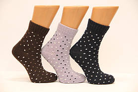 Жіночі шкарпетки з тонкої вовни НЛ 36-40 дрібний горошок