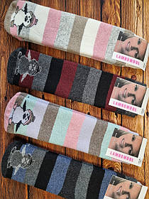 Жіночі шкарпетки вовняні з махрою високі Кардешлер пінгвін 37-41 асорті