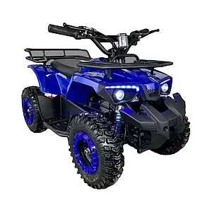Дитячий електроквадроцикл FORTE ATV1000RB