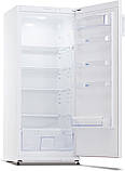 Холодильник Snaige C29SM-T1002E Білий DS, фото 2