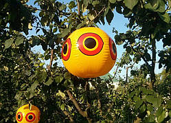 Відлякувач птахів куля ОКО ХИЖАКА 40 см