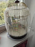 Сітчастий чохол для пташиної клітки розмір 45*45 см висота 30 см Біла (00298), фото 8