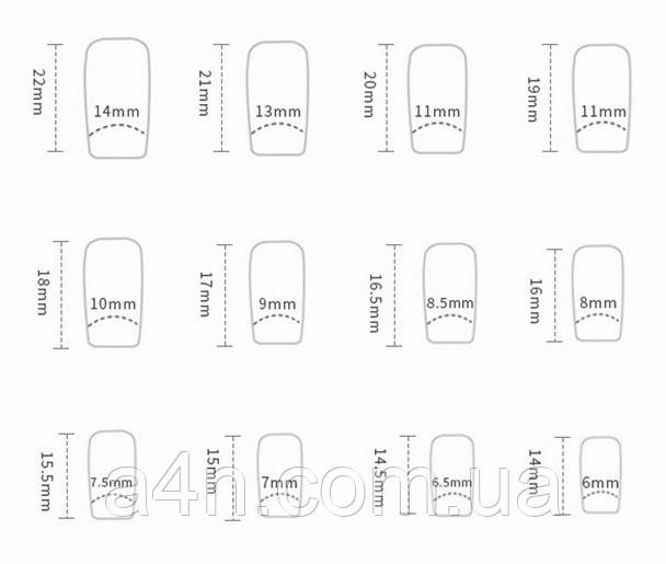 Накладные ногти - Интернет-магазин A4N Размеры накладных ногтей