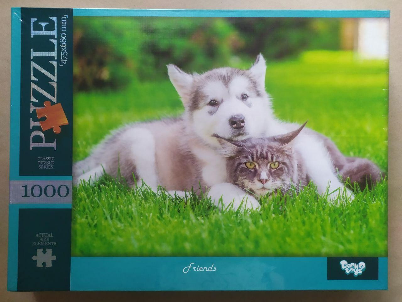 Пазли Danko Toys Friends 1000 елементів (С1000-13-05)
