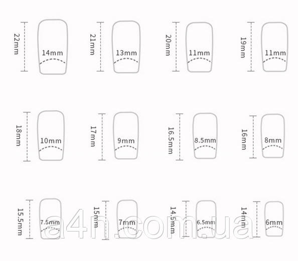 Накладные ногти - Интернет-магазин A4N Размеры накладных ногтей