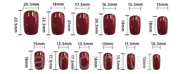 Размеры накладных ногтей
