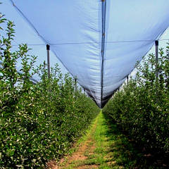 Антиградова сітка