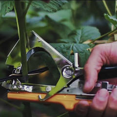 Інструмент для підв'язування рослин