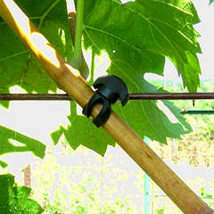 Кліпси, хомути та якісні кріплення для підв'язування