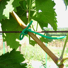 Кембрик для підв'язування