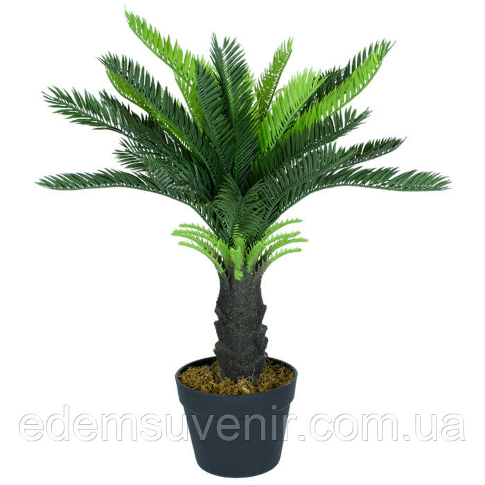 Штучна рослина Engard Cycas Palm, 60 см (DW-24), фото 1