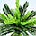 Штучна рослина Engard Cycas Palm, 60 см (DW-24), фото 6