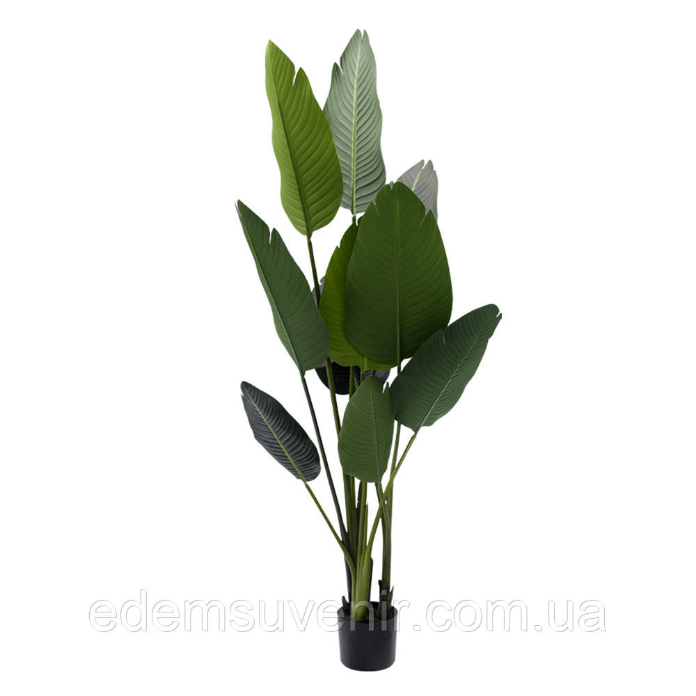 Штучна рослина Banana Tree, 190 см (TW-10)