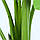Штучна рослина Banana Tree, 120 см (TW-24), фото 4