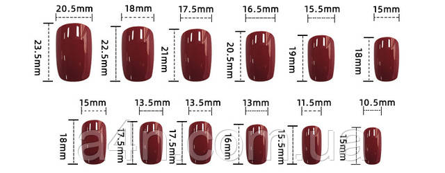 Размеры накладных ногтей