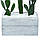 Набір штучних рослин Engard Cactus в кашпо (TW-40414268-1), фото 7
