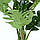 Штучна рослина Monstera, 180 см (TW-05), фото 4