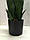 Штучна рослина Engard Sansevieria, 65 см (DW-10), фото 3