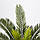 Штучна рослина Engard Cycas Palm, 60 см (DW-25), фото 3