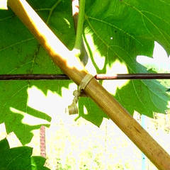 Провід садовий. Дріт для підв'язування