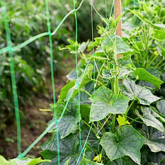 Шпалерна сітка