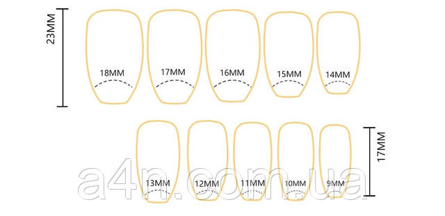 Накладные ногти - Интернет-магазин A4N Размеры накладных ногтей