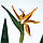Штучна рослина Engard Strelitzia, 120 см (TW-25), фото 5