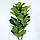 Штучна рослина Engard Fiddle, 150 см (TW-02), фото 3