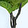 Штучна рослина Engard Fiddle, 150 см (TW-02), фото 8