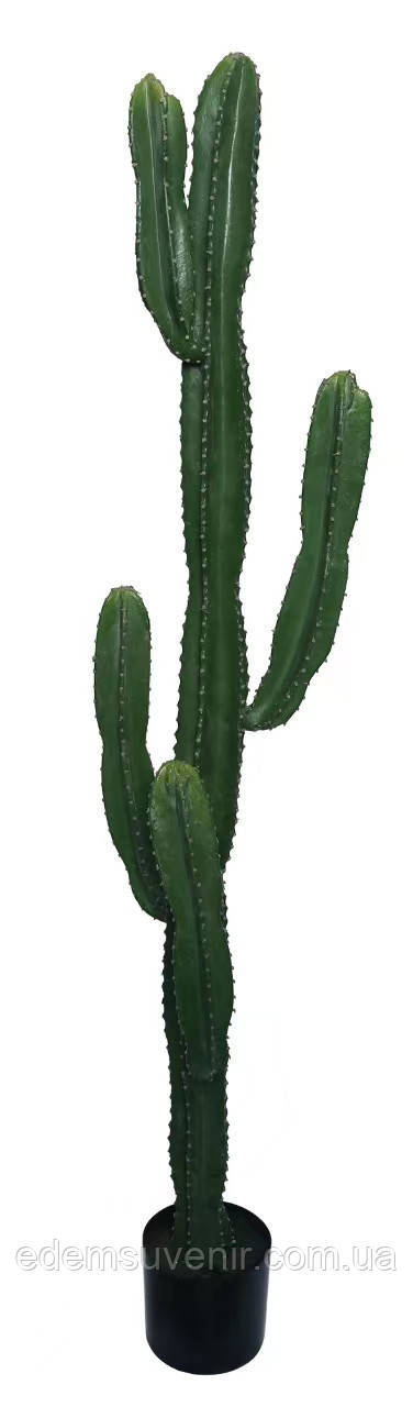 Штучна рослина Engard Cactus, 155 см (TW-40)