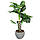 Штучна рослина Monstera 125 см в кашпо (DW-2166-1), фото 5