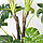 Штучна рослина Engard Monstera, 165 см (DW-22), фото 4