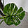 Штучна рослина Engard Monstera, 165 см (DW-22), фото 6