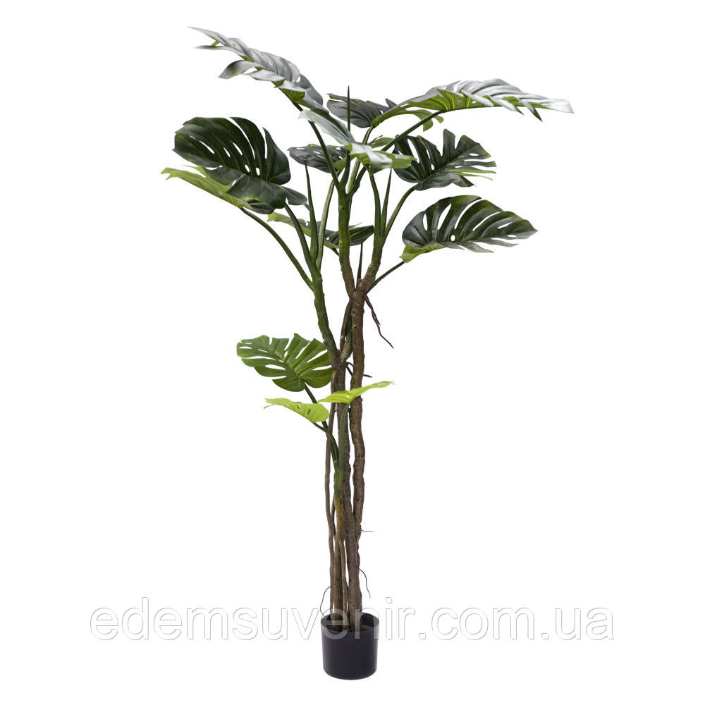 Штучна рослина Monstera, 180 см (TW-05)