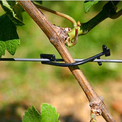 Агрошпалера