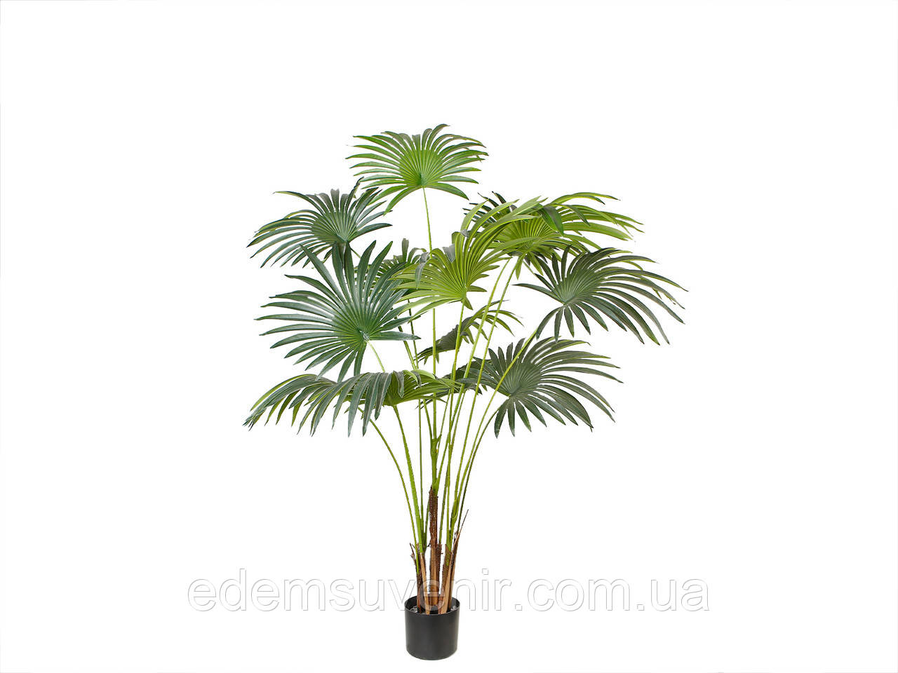 Штучна рослина Engard Fan Palm, 150 см (DW-28)