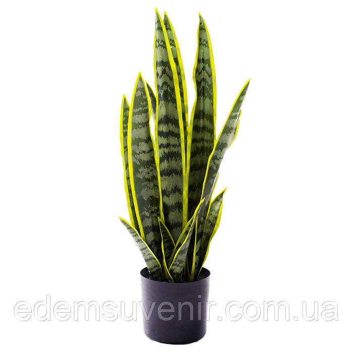 Штучна рослина Engard Sansevieria, 57 см (TW-43)