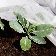 Агроволокно Greentex (Польща)