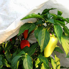 Агроволокно