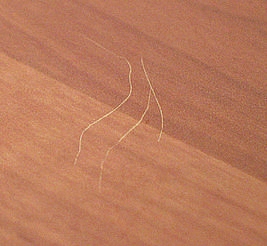 Реставрация мебели. Устранения царапин 1