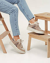 Кросівки утеплені Phany 6901308 36 бежеві леопард, фото 4