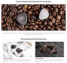 ⇒ Kiwi Ears Melody (Jack 3.5) - ізодинамічні навушники Planar 12mm In-Ear Monitor, 5Hz-40KHZ, фото 4