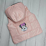 Жилетка дитяча демісезонна зріст 98 см (2 - 3 роки) Alisa Рожевий, фото 2