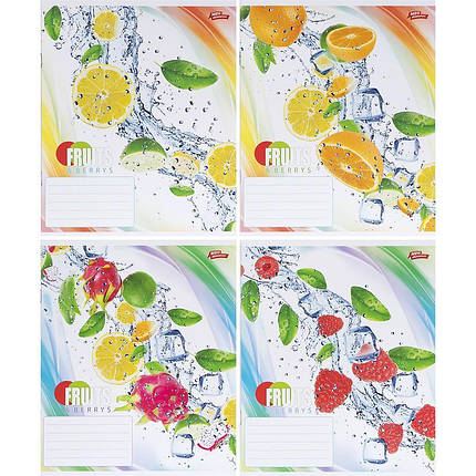 Зошит 24 арк. клітинка "МРІЇ" / Фрукти, фото 1