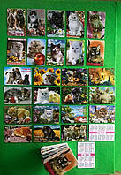 Кишенькові календарики коти 2025 рік (набір 125 шт)