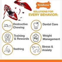 Іграшка для цуценят Nylabone Puppy Chew Dinosaur зі смаком курки S до 11 кг, фото 4