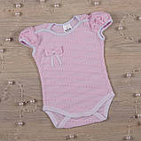 Боді "Хвилька" кулір зріст 62 см (1 – 3 місяці) Betis Рожевий, фото 2