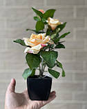 Троянда чайна штучний кущ в горщику 29 см, фото 2